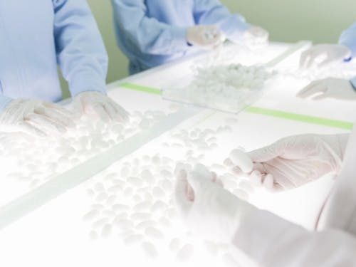 完全屋内でシルクを生産