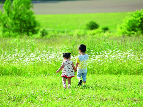 自然の中で子育てしてみませんか