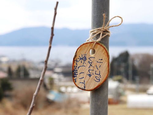 市民植樹会に参加した小学生からのメッセージ