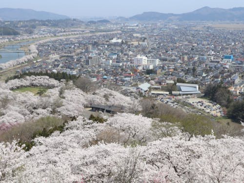 町を一望できる船岡城址公園