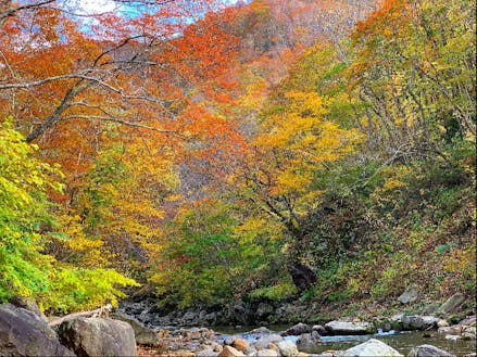 熊石は紅葉狩りでも有名な地域。秋は沢山のキャンプ客も訪れます。