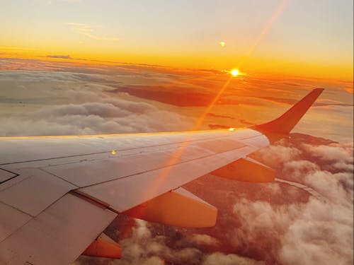 移住決意の夕日。島人のあたたかさに涙した瞬間。