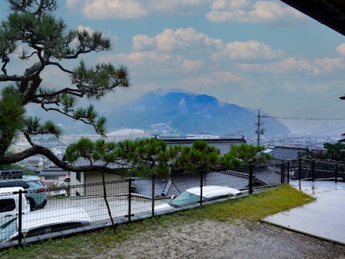 縁側からの景色。高台に位置しているので眺めが良好です。