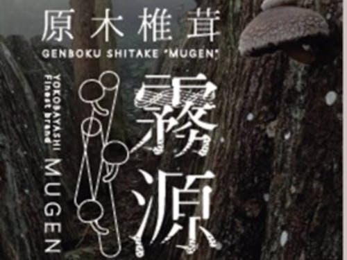 横林産原木椎茸『霧源(MUGEN)』