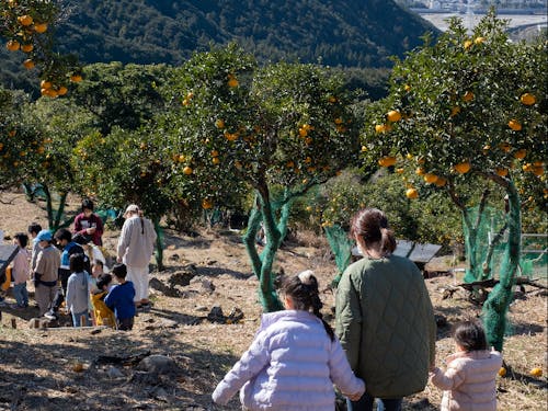 農園が展開している子供の居場所作りプロジェクト