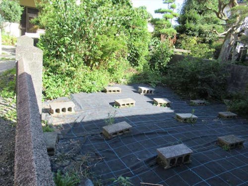 家の裏の庭。家庭菜園を楽しめそう。