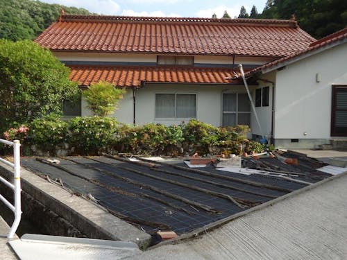 敷地内の畑で家庭菜園も楽しめそう。