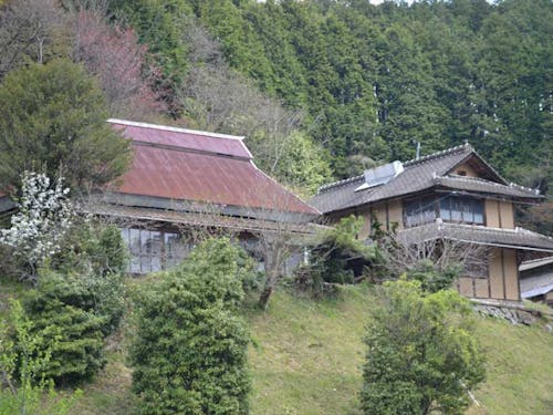 小高い丘の上に建っていて見晴らしがよい。