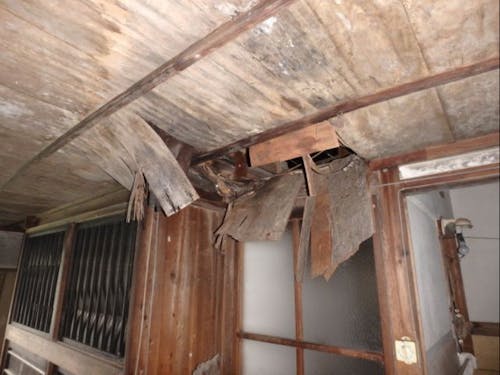 家屋内は所々天井が崩落している。