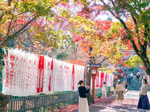 大寧寺の紅葉