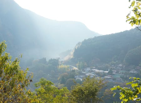 川上村は紀伊半島の中心に位置する村で、吉野川・紀ノ川の源流にあります。本流から葉脈状に支流に別れ、２６個の集落があります。