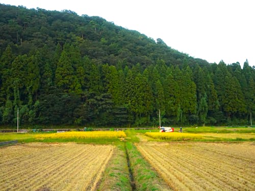 「和気の家」にある里山エリア