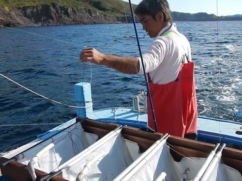 活魚を釣る漁師さん