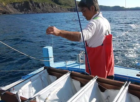 活魚を釣る漁師さん