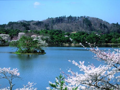白河市では四季折々の美しい景色が楽しめます。