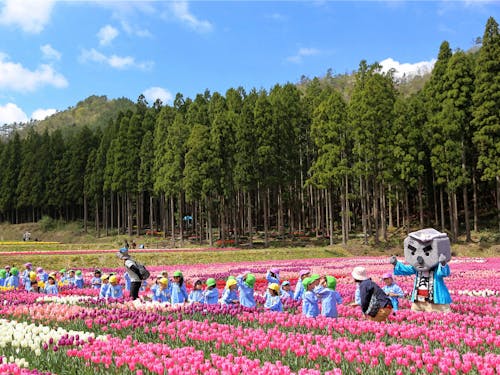 100万本のたんとうチューリップまつり（春）