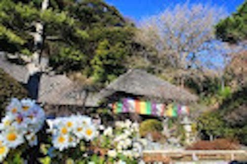 初回6/23の会場はここ「明王院」。こころをゼロベースに!ランチ会はピザ窯付キッチンカーでピザを焼いて、焼きたてを縁側でいただきます。