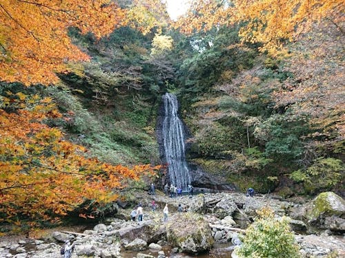 四十八の滝と広葉樹の森林が3㎞にわたる景勝「阿瀬渓谷」