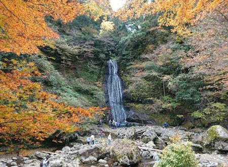 四十八の滝と広葉樹の森林が３㎞にわたる景勝「阿瀬渓谷」