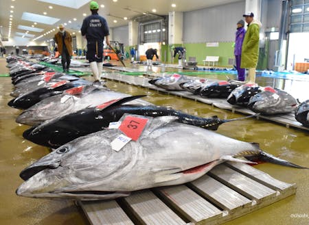 銚子漁港の水揚げ量は12年連続日本一