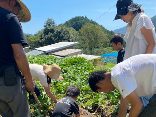 皆で協力し合って芋ほり体験。自然に言葉を交わして交流が深まります