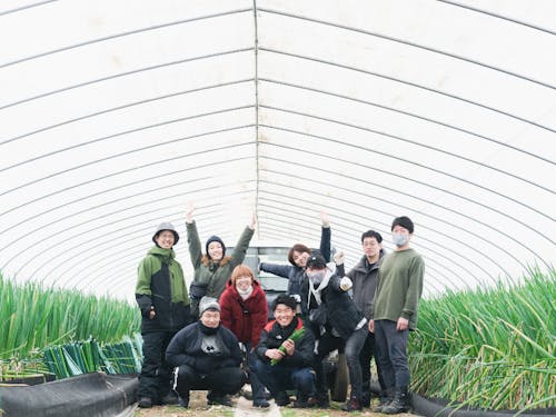 軟白ネギのハウスでの1枚