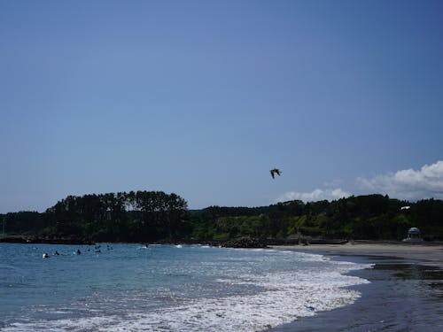 夏は海水浴やキャンプで賑わう「種市海浜公園」