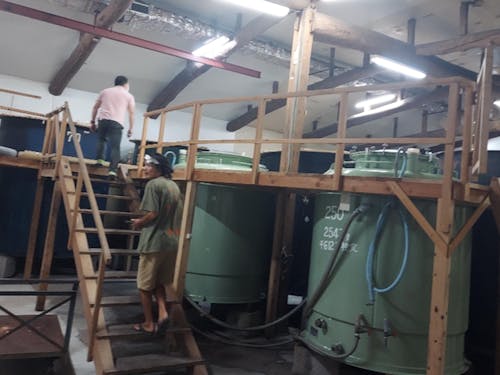 地域の造り酒屋の杜氏さんとお話してみませんか