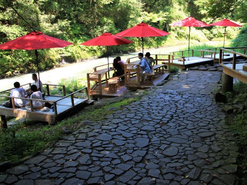 山中温泉の渓谷には、鶴仙渓と呼ばれる遊歩道が設けられている。