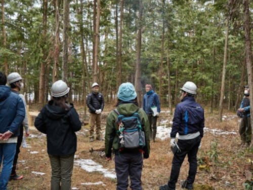 森の中での林業体験 焚き火を囲んで森・樹木・森林環境について学び、体験し、考えます