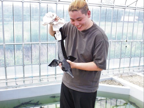 自分が育てたチョウザメ