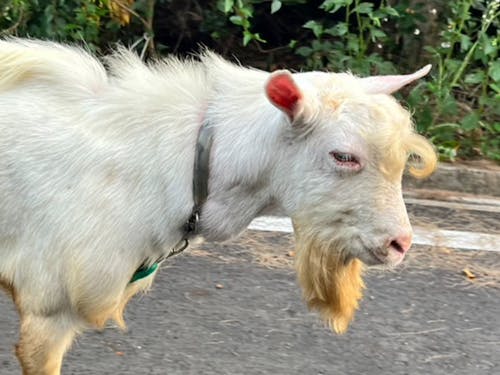 意外といろんなお仕事があるめぇ