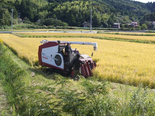 サンライズうづかのお仕事