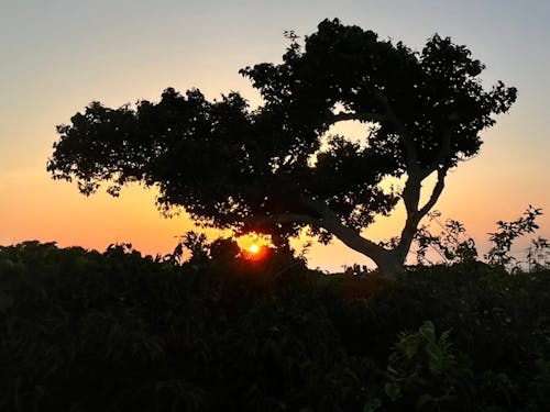キレイな夕日が日常的に