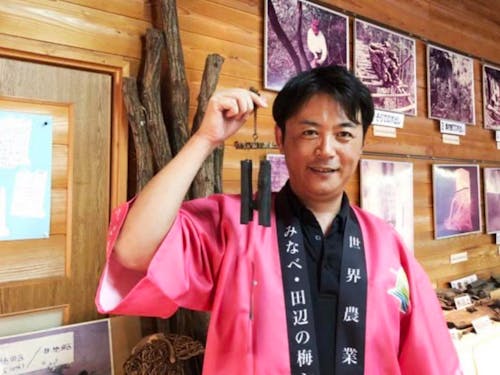 みなべ町｢ウメ課｣職員さん