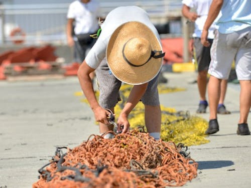 定置網のメンテナンス