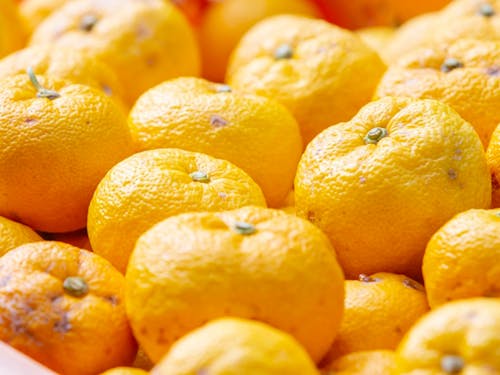 夢中になって作業していると、いつの間にかコンテナがいっぱいに!