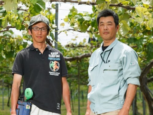 ブドウ農家の方々