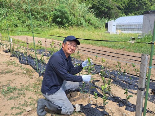屋外での苗管理