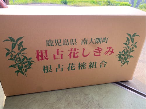 出荷用段ボール