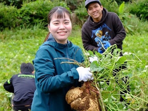 島の酒蔵さんとコラボし、オリジナル焼酎造。スタッフも芋を堀るところから体験