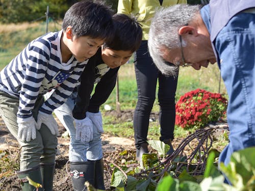 どうやったら作物をうまく収穫できるのか、説明に聞き入ります。