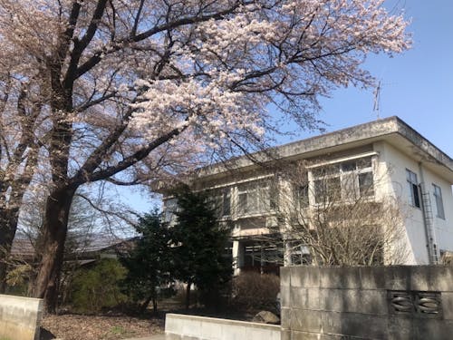 学校から徒歩30秒の公営塾「黎明学舎」