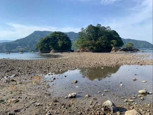 渡れるようになった弁天財(干潮時)