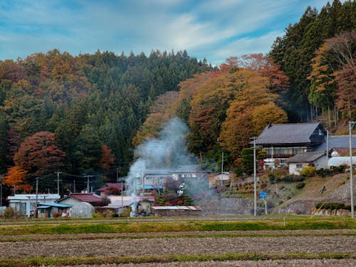 石川町中谷地区の様子