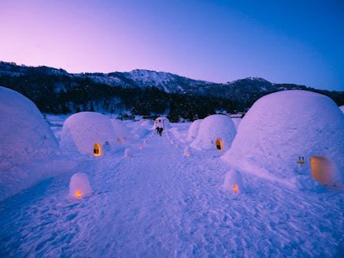 レストランかまくら村はキラーコンテンツに