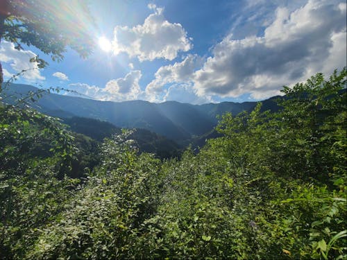 椎葉の大自然の中で活動できます