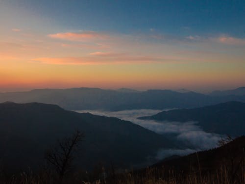 自然からインスピレーションを