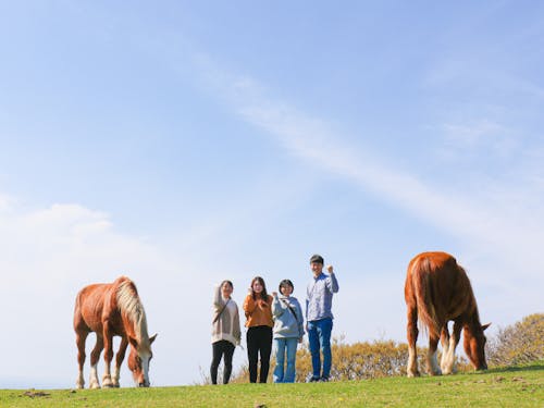 景勝地で地域おこし協力隊と馬との集合写真