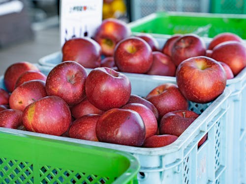 りんごの食べ比べもできます!!